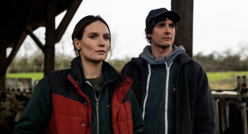 actualité la guerre des prix