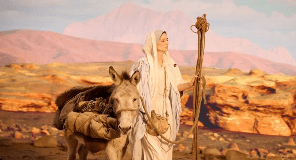 actualité je suis l immaculee conception