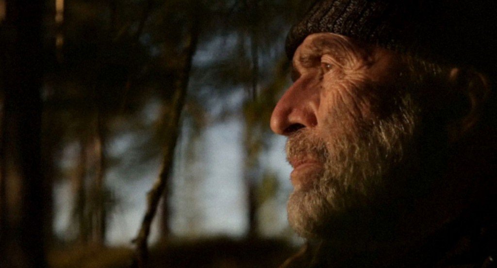 actualité le chants des forets